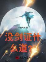 没剑证什么道?
