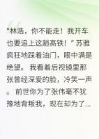 妻子转走五千万后开车追高铁